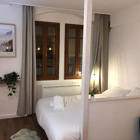 Апартаменты Manaslu Plein Centre Et Chaleureux